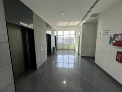 Mapex (D20), Factory #464733631